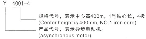 Y系列6KV高壓三相異步電機——西安泰富西瑪電機（西安西瑪電機集團股份有限公司）官方網站