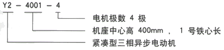 西安泰富西瑪電機Y2系列6KV高壓三相異步電動機