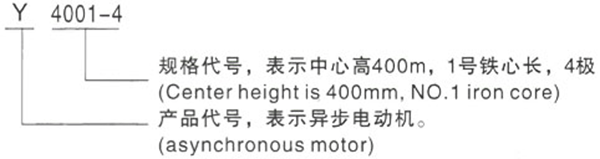 Y系列(H400-500)380V低壓大功率三相異步電機——西安泰富西瑪電機（產品簡介|技術參數|安裝圖紙|樣本下載）